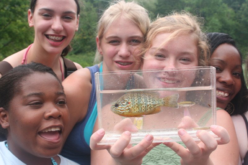 Join Us: Great Hudson River Fish Count 2025