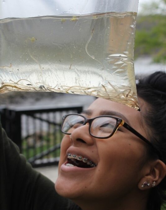Hudson Eel Project: The Citizen Science Initiative Collecting Data and Cultivating Stewardship