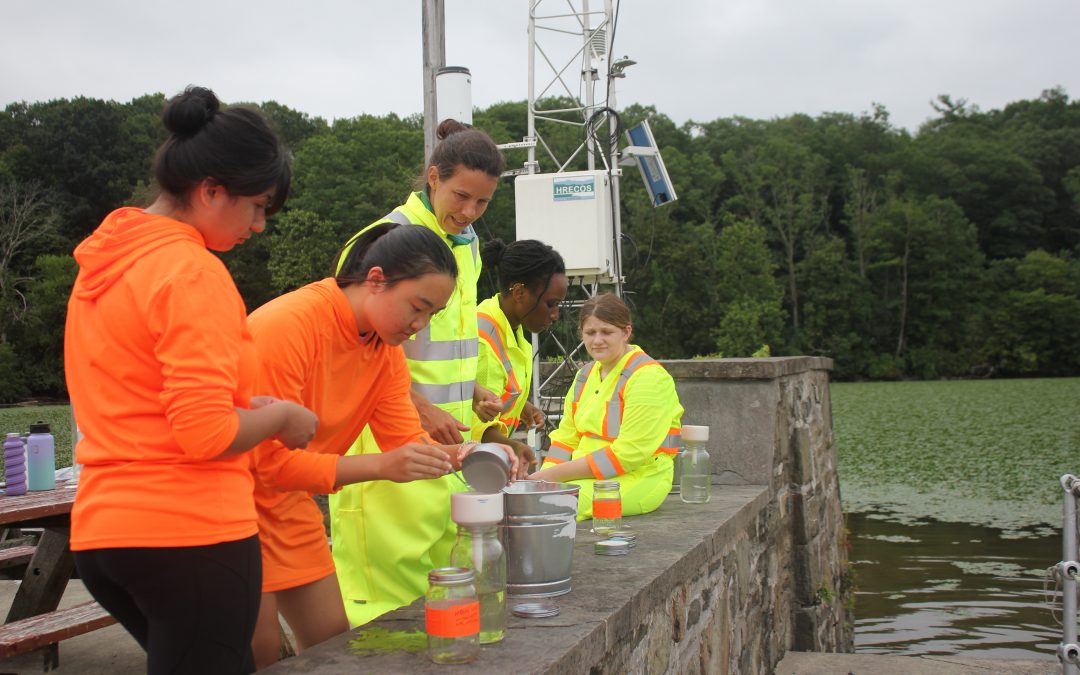 Summer Science for Everybody