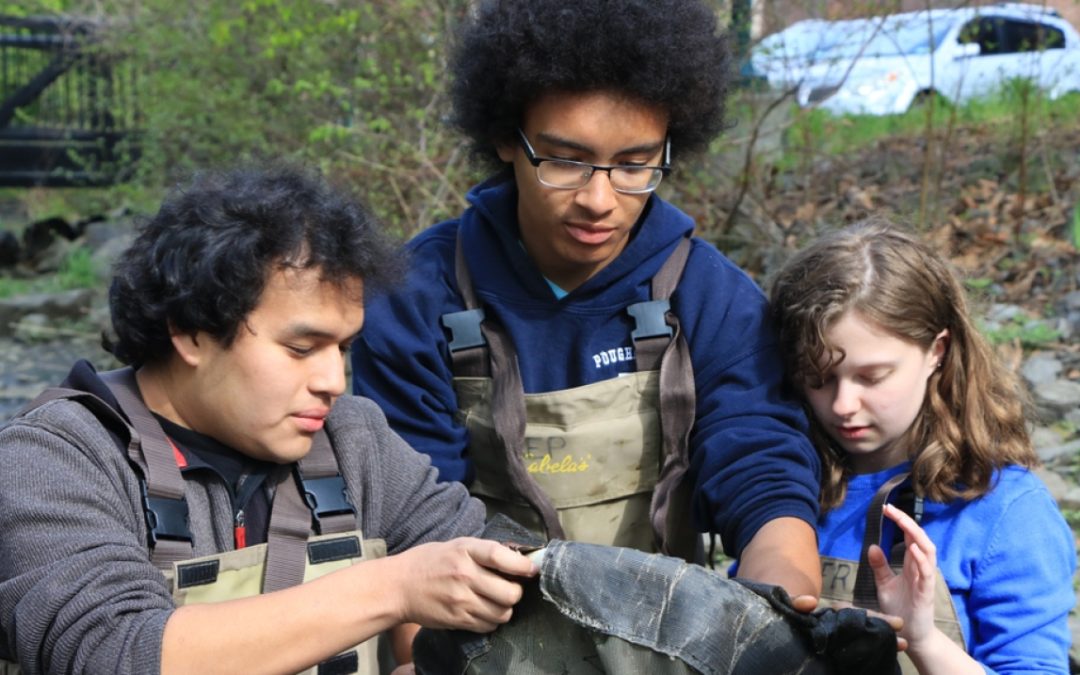 Citizen scientists wanted: Put your powers of observation into action