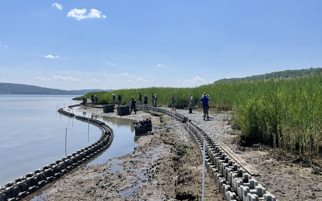 Piermont Marsh Shoreline Stabilization Project