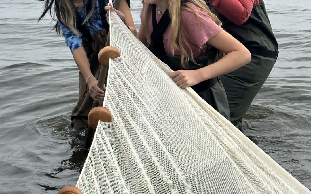 Celebrate World Fish Migration Day