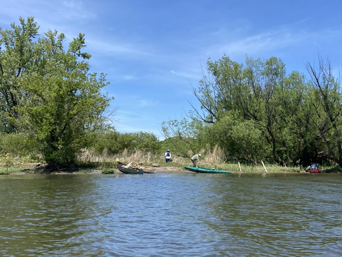 A few kayaks are docked along a shoreline where volunteers are picking up trash.