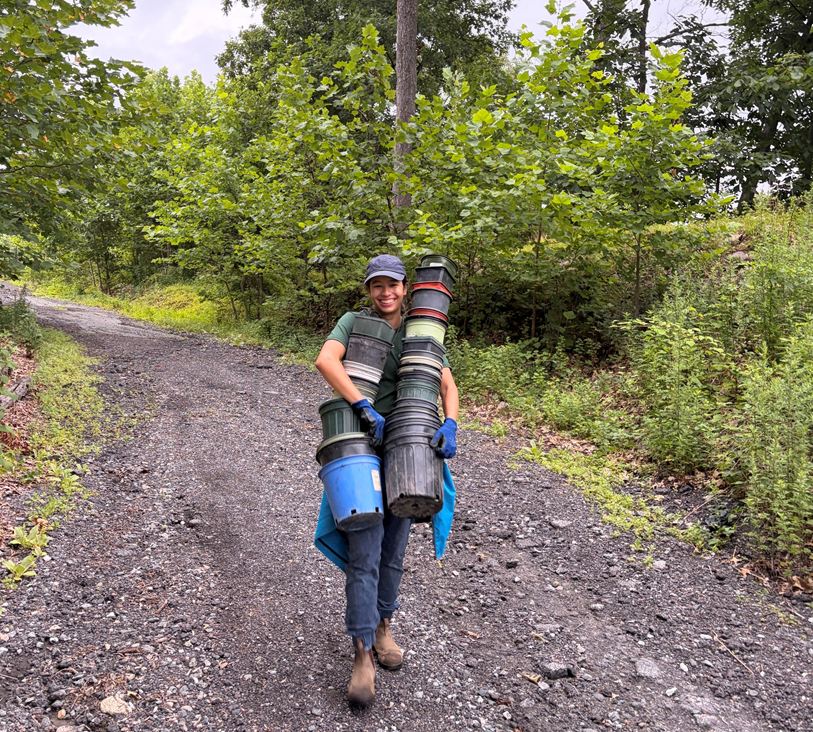 A young woman walks down a tree-line gravel path carrying tall stacks of plastic plant pots.