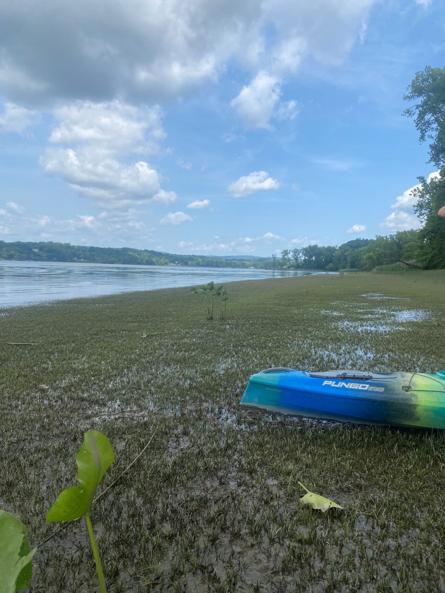 At low tide on the river, a blue-and-green kayak sits above the exposed vegetation.