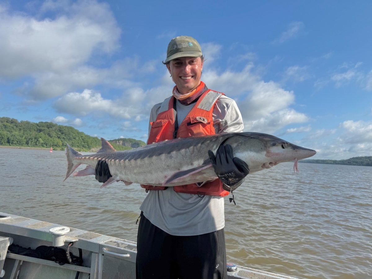 A smiling young man wearing a life jacket stands on a boat and holds up a large grey-and-white fish.