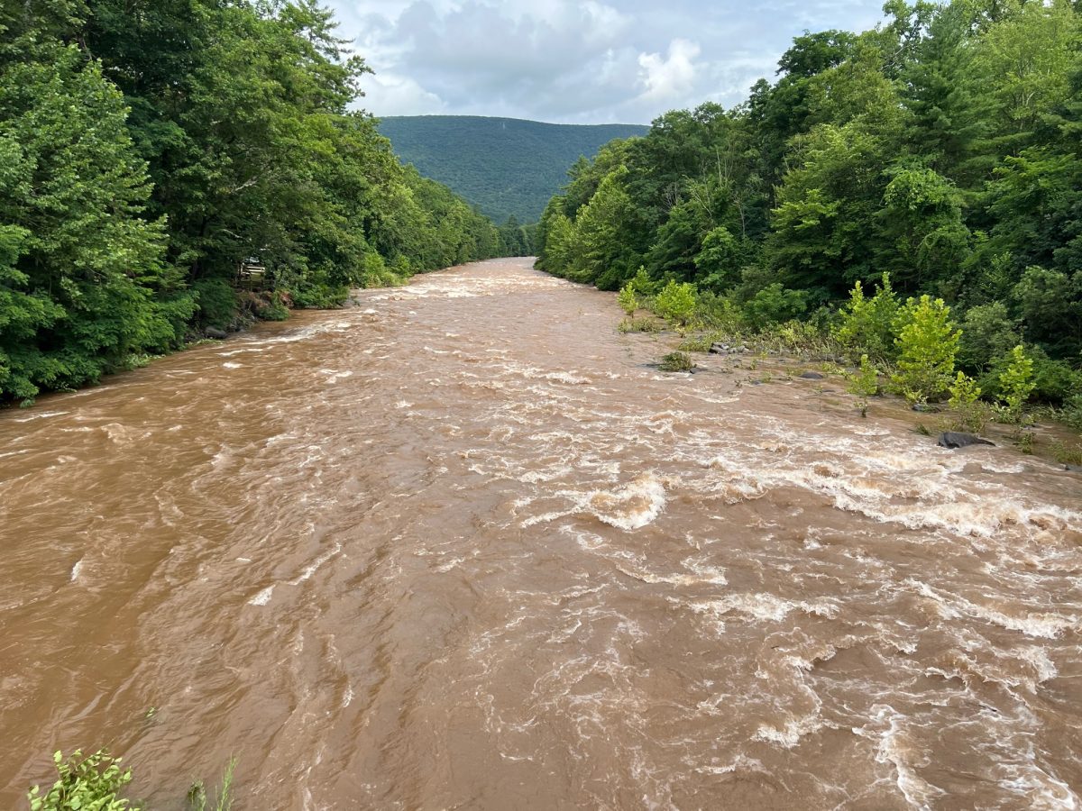 A full creek rushes with choppy, brown water and floods its vegetated banks after a rain storm.
